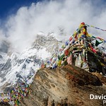 Annapurna, Nepal - Prayer Flags