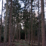 1-365 - Perspective Day #1