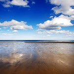 The call of the ocean