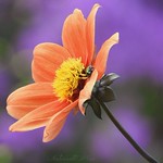 "Spring a lovely reminder of how beautiful change can be"