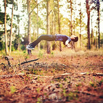 Day 355/366 - Ascension