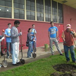 Fruit Tree Distribution 2013