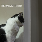 The Dark Kitty Rises