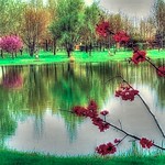 * Spring feeling at the pond *
