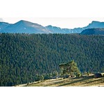 Keep close to Nature's heart... and break clear away, once in awhile, and climb a mountain or spend a week in the woods. Wash your spirit clean. John Muir . . . . . #365project #day122 #nikon #rollinghills #365photochallenge #nationalpark #d800e #mountain