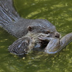 Playing with mom :))