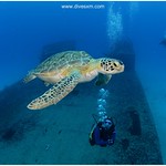 St. Maarten wreek dive - Carib Cargo