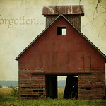 forgotten