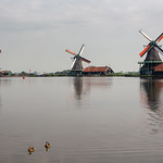 Zaandijk Mills