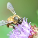 You Can Count On Me !