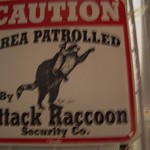 ATTACK RACCOON!