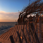 Summer's almost gone