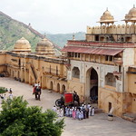 The Amber Fort with Elephants