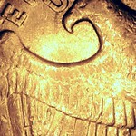 Well Worn - The Wolves Survive.