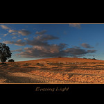 Patience is a virtue