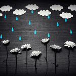 The Awakening Rain...