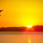 #risin #sun @lake #victoria