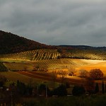 ABBAZIA S. ANTIMO( SANT'ANTIMO ABBEY) TOSCANA ITALY http://www.antimo.it/ CANTI GREGORIANI ( GREGORIAN CHANTS )