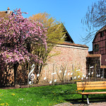 Bergheim, Alsace, France