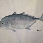 Ulua