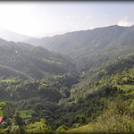 How green was my valley