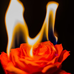 Symbol of my bruning love