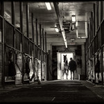 coming in from the cold