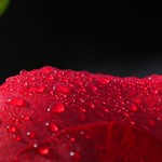 "Love Remains The Same"