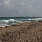 20130129_31 USA FL Juno Beach