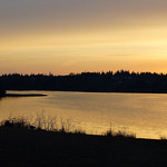 Digby Neck and Area 253 WITH SIGNATURE