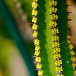 Road trip Belgium National Gardens and Brussels