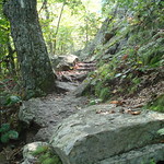 Dragon's Tooth Trail