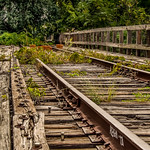 Happy Fence Friday..HFF