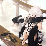 Free your mind and own the sky