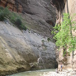 Narrows