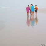 Perdidos en la Niebla / Lost in the Fog. 177/366.