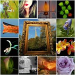 My creation Your best Photos on Flickr P 1-A 2 Invited Pic Only /Sweeper on With 3+ Award Admin choice