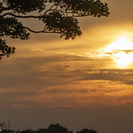 The best way to view the sunset