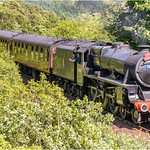 The Royal Highlander