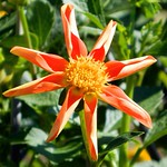 Great opportunities to help others seldom come, but small ones surround us every day.