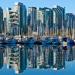 Coal Harbour Morning