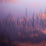 S&eacute;r&eacute;nit&eacute; sur le lac...!!!