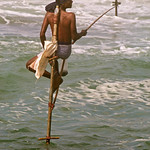 Stilt Fisherman, Sri Lanka