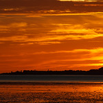 Cromarty Firth sunrise.