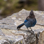 The best preparation for tomorrow is doing your best today&hellip;