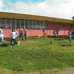 Fruit Tree Distribution 2013