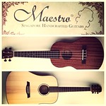 Maestro- New Strings