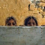 La joie de vivre (2)