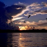 Autumnal Equinox Sunrise