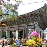 Temple in the Flower Festival